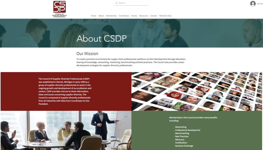 CSDP About Us page